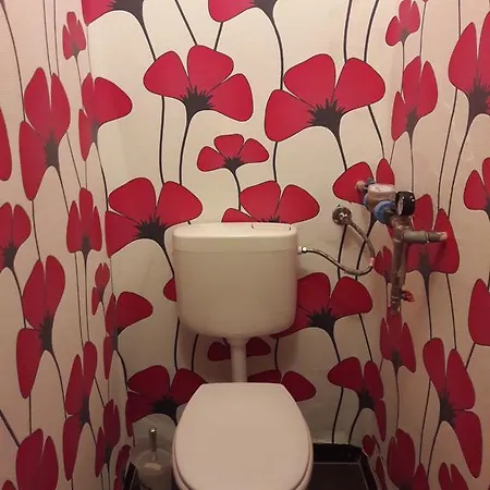 Home Apartman * Debrecen